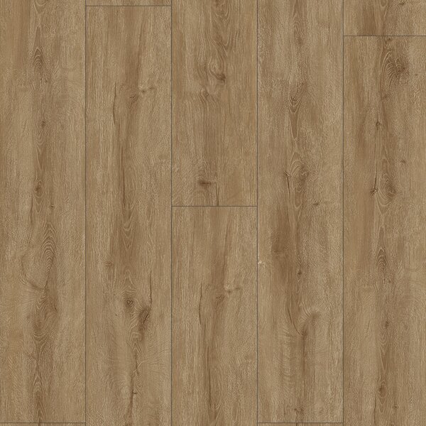 SolidStep ADVANCE Pro Dub Regano ST1202
