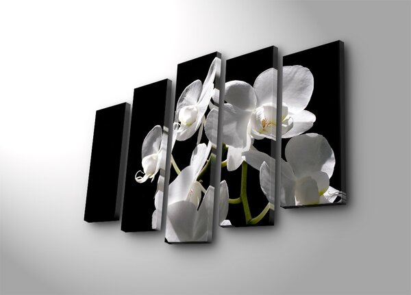 ASIR Súbor nástenných obrazov na plátne BIELA ORCHIDEA 105 cm