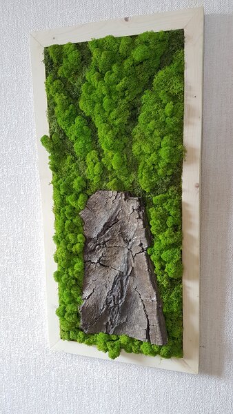 Machový obraz s prírodnou kôrou 100cm x 45cm