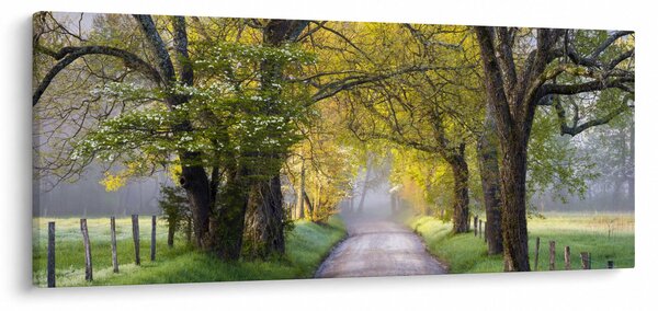 Obraz - Smoky Mountains, Gatlinburg, USA (120x50 cm)
