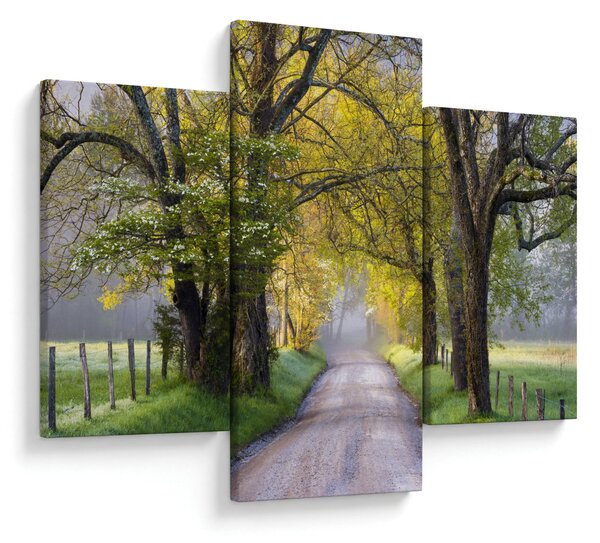 Obraz - Smoky Mountains, Gatlinburg, USA (90x60 cm)