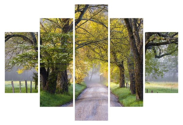Obraz - Smoky Mountains, Gatlinburg, USA (150x105 cm)
