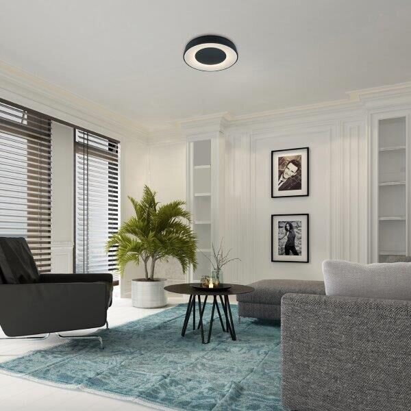 Rabalux 3082 Ceilo Stropné svietidlo LED D480mm 38W/3200lm 3000-6500K čierna, biela, stmievateľné, diaľkové ovládanie