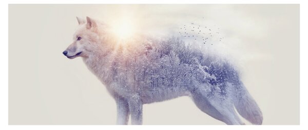 Obraz - Arktický vlk zrkadliaci divokú krajinu (120x50 cm)