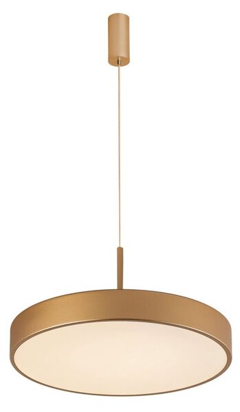 Italux 5361-830RP-GD-3 LED závesné svietidlo Orbital D400mm 30W/1800lm 3000K zlatá, biela