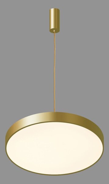 Italux 5361-830RP-GD-3 LED závesné svietidlo Orbital D400mm 30W/1800lm 3000K zlatá, biela