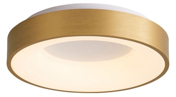 Italux 5304-840RC-GD-3 LED stropné svietidlo Giulia D480mm 40W/2200lm 3000K zlatá, biela