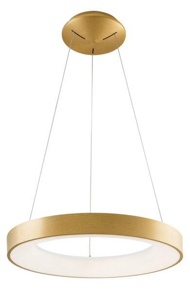 Italux 5304-840RP-GD-3 LED závesný luster Giulia D480mm 40W/2200lm 3000K zlatá, biela