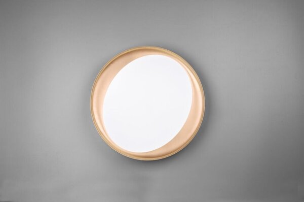 TRIO R62712402 ZETA stropné svietidlo LED D485mm 24W/1920lm 2700-6500K, čierna, biela, stmievateľné, diaľkové ovládanie