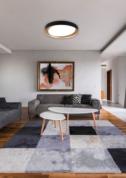 TRIO R62712402 ZETA stropné svietidlo LED D485mm 24W/1920lm 2700-6500K, čierna, biela, stmievateľné, diaľkové ovládanie