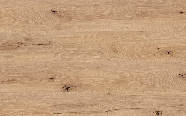 Kastamonu Classic FC088 DERIN OAK 8mm
