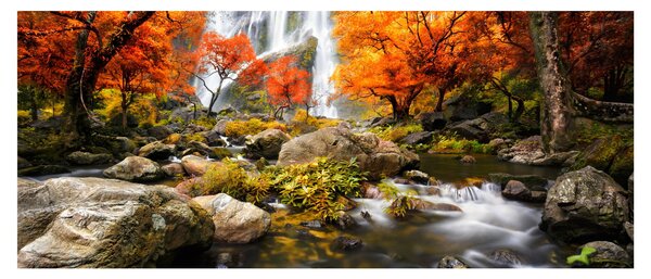 Obraz - Vodopády v oranžovom lese (120x50 cm)