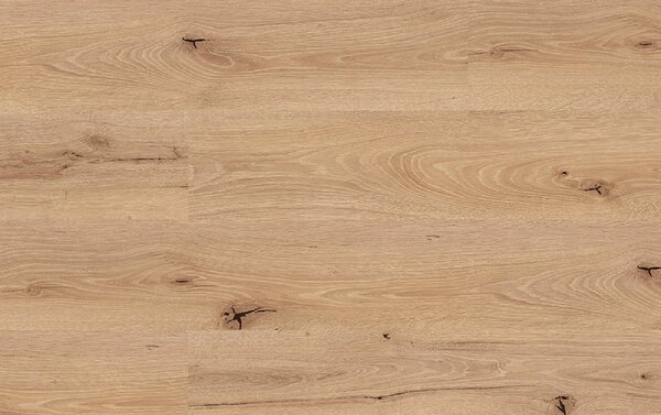 Kastamonu Classic FC088 DERIN OAK 8mm