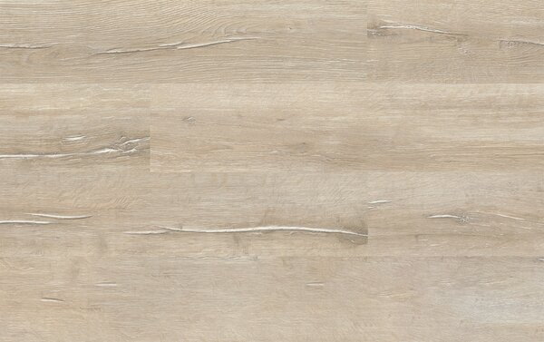 Kastamonu Classic FC081 GENOVA OAK 8mm