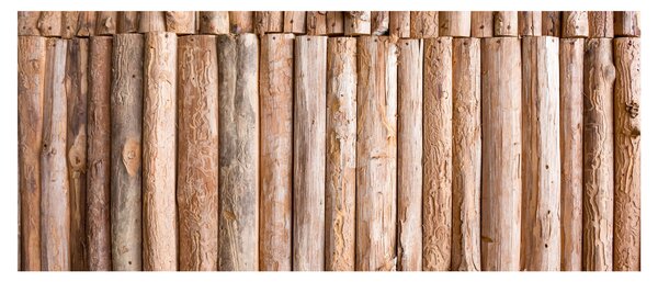 Obraz - Bambus (120x50 cm)