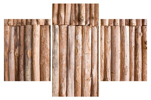 Obraz - Bambus (90x60 cm)