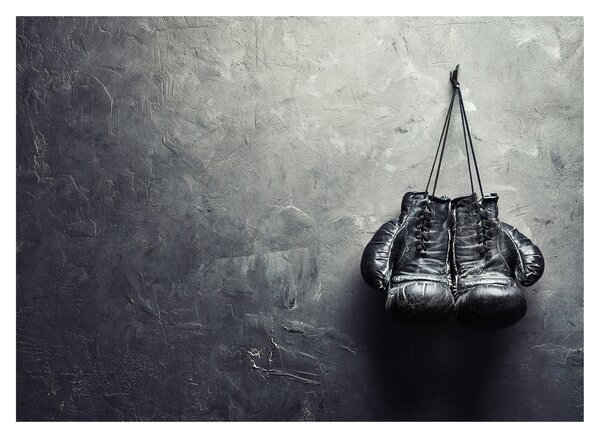Obraz boxerských rukavíc (70x50 cm)