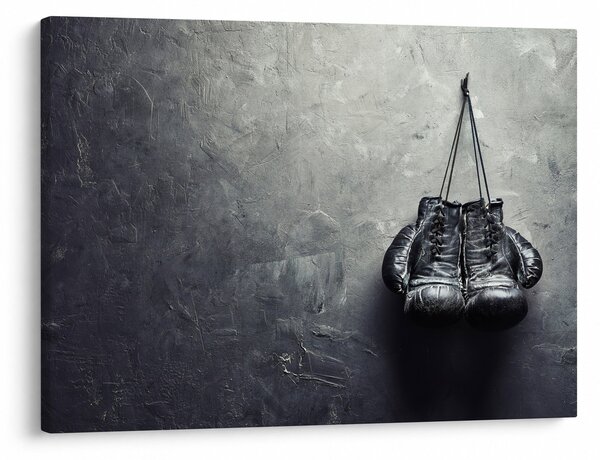 Obraz boxerských rukavíc (70x50 cm)