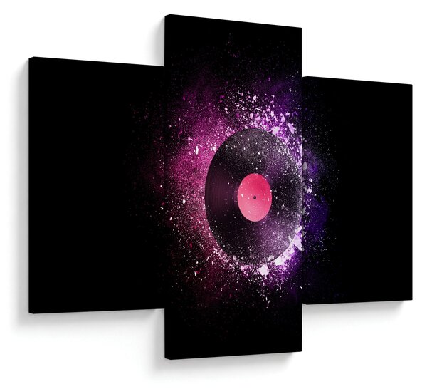 Obraz - Vinylová doska v ružovo-fialových (90x60 cm)
