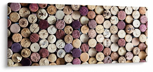 Obraz - Vinárska sezóna (120x50 cm)