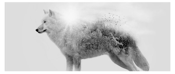 Obraz - Arktický vlk zrkadliaci divokú krajinu, čiernobiely (120x50 cm)