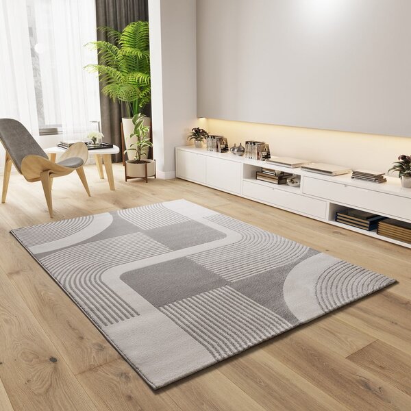 Koberec vo svetlosivej a slonovinovej farbe 80x150 cm Flora – Universal