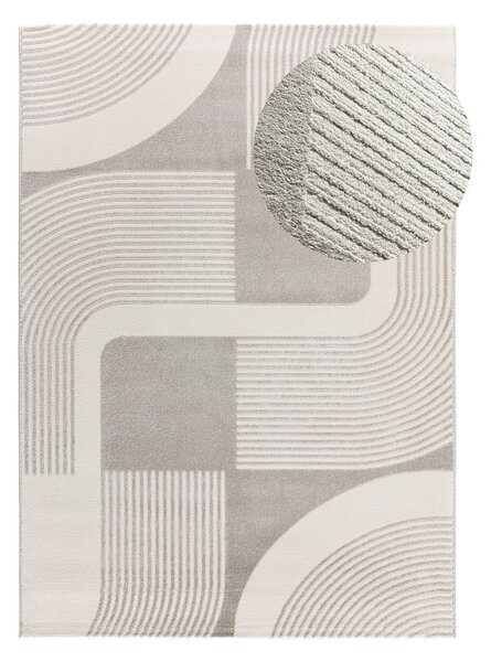 Koberec vo svetlosivej a slonovinovej farbe 80x150 cm Flora – Universal