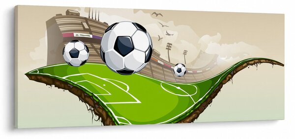 Obraz - Futbalové ihrisko (120x50 cm)