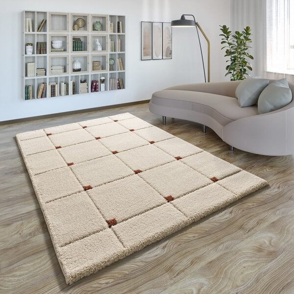 Koberec v tehlovej a krémovej farbe 80x150 cm Brenda – Universal