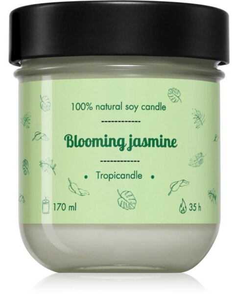 Tropicandle Green Tea vonná sviečka 170 ml