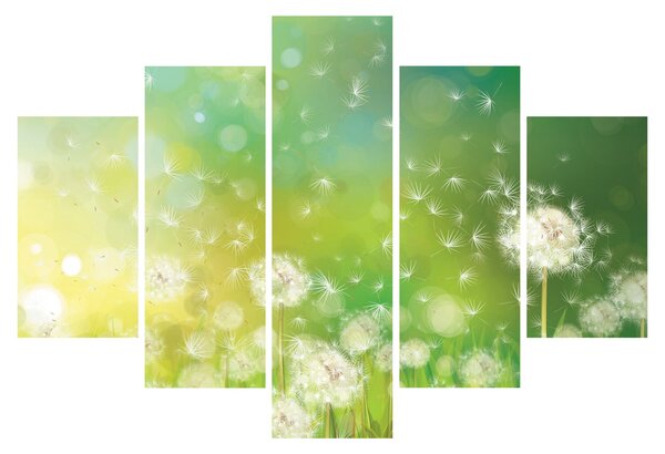 Obraz - Odkvitnuté púpavy (150x105 cm)