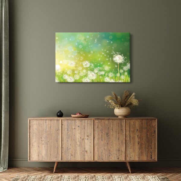 Obraz - Odkvitnuté púpavy (90x60 cm)