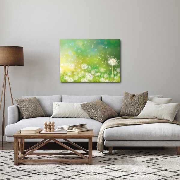 Obraz - Odkvitnuté púpavy (70x50 cm)