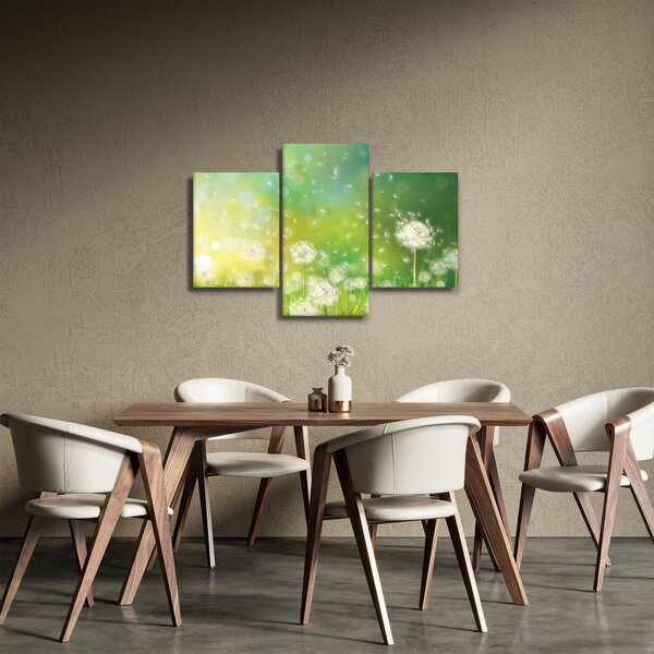 Obraz - Odkvitnuté púpavy (90x60 cm)