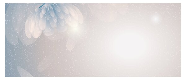 Obraz - Zasnežené kvety (120x50 cm)
