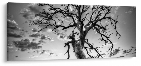 Obraz - Čiernobiely strom (120x50 cm)