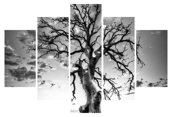 Obraz - Čiernobiely strom (150x105 cm)