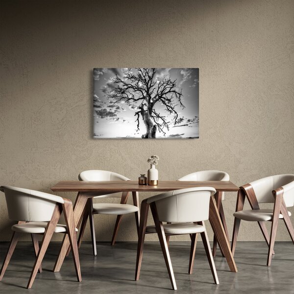 Obraz - Čiernobiely strom (90x60 cm)