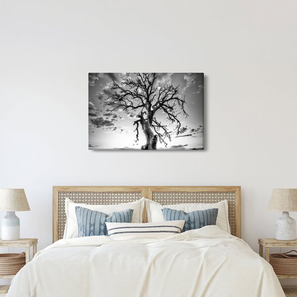 Obraz - Čiernobiely strom (90x60 cm)