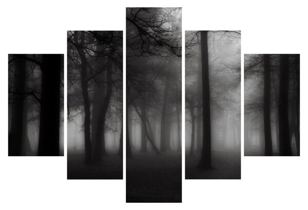 Obraz - Les v hmle (150x105 cm)