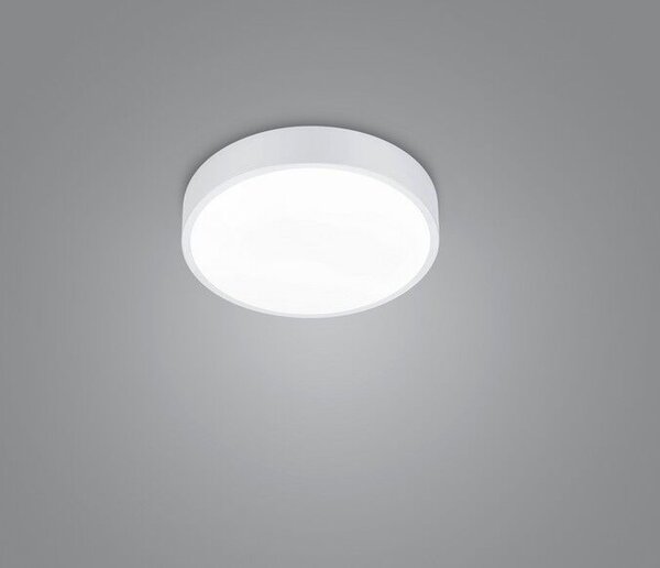TRIO 627413031 WACO stropné svietidlo SMD LED D310mm 28W/3200lm 2300+3000+4000K biela matná