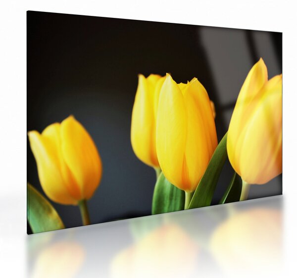 Sklenený obraz tulipánov (70x50 cm)
