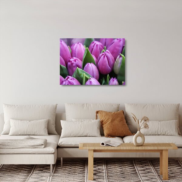 Sklenený obraz - kvety tulipánov (70x50 cm)