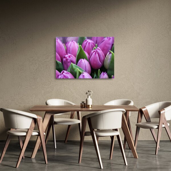 Sklenený obraz - kvety tulipánov (70x50 cm)