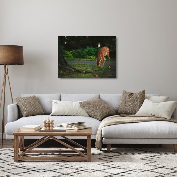 Sklenený obraz srnky (70x50 cm)
