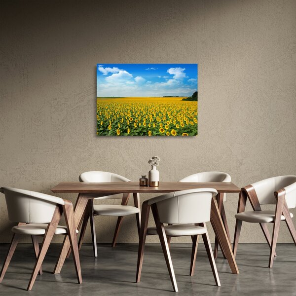 Sklenený obraz - pás slnečníc (70x50 cm)