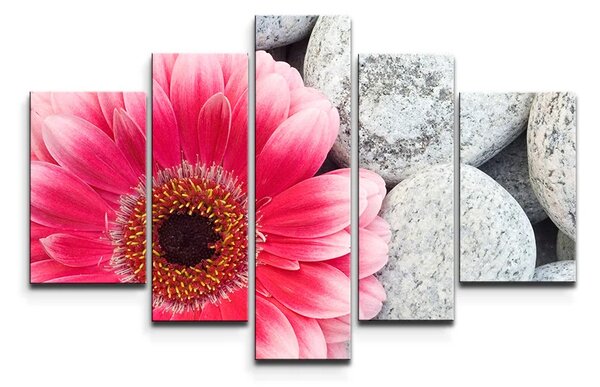 Sablio Obraz - 5-dílný Gerbera na kameňoch - 125x90 cm