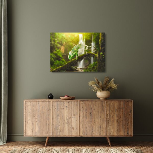 Sklenený obraz chameleóna (70x50 cm)