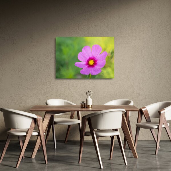 Sklenený obraz - lúčna kvetina (70x50 cm)