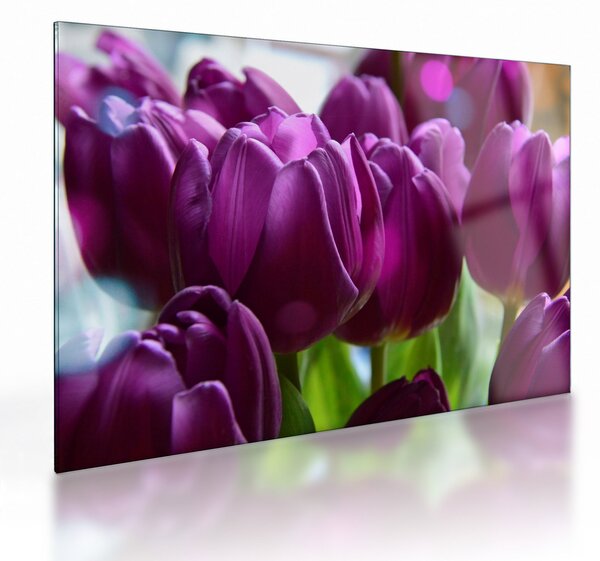 Sklenený obraz tulipánov (70x50 cm)